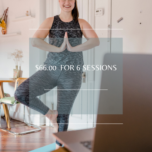 $66 For 6 Sessions