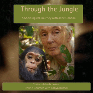 Course banner for Through the Jungle — A Sociological Journey with Jane Goodall featuring abstract collage and jungle-inspired visuals.