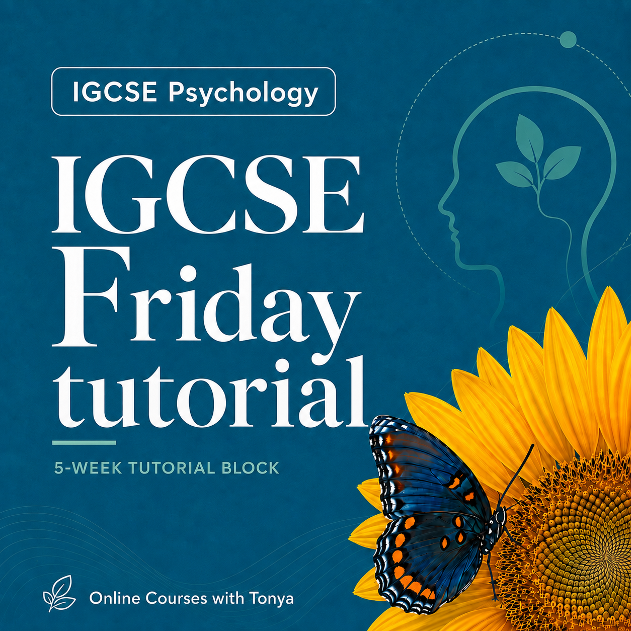 Module 2 Friday Tutorials